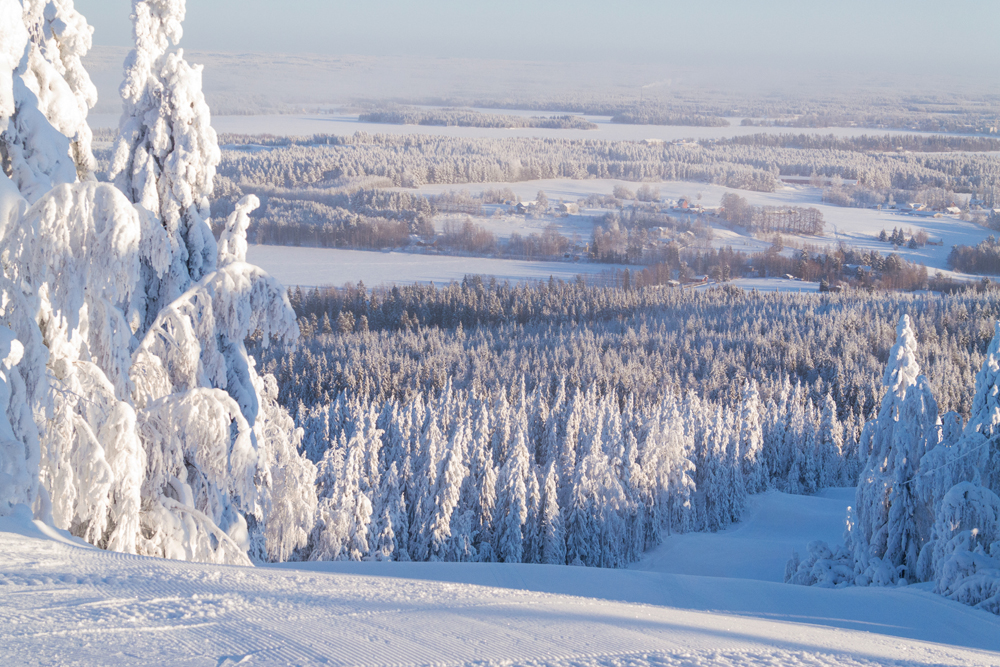 Vuokatti